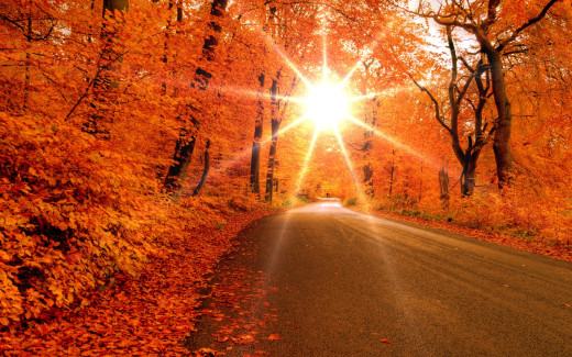 638723 (a): :2560x1600